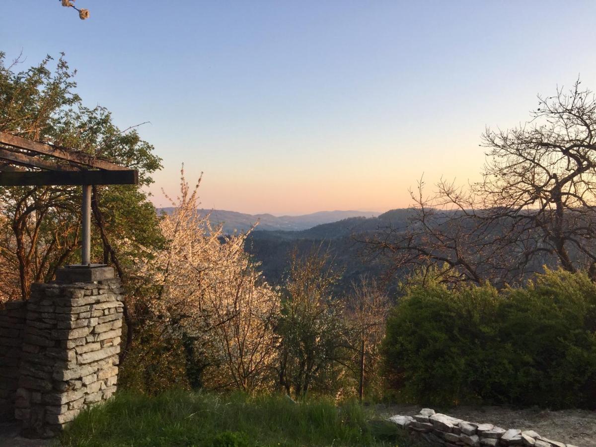망고 Casa Langa Di Lola B&B 외부 사진